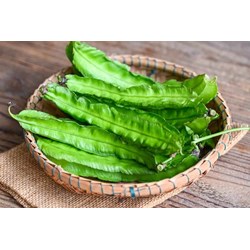 Công dụng, cách chế biến của quả đậu rồng