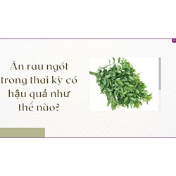 Ăn rau ngót trong thai kỳ có hậu quả như thế nào?