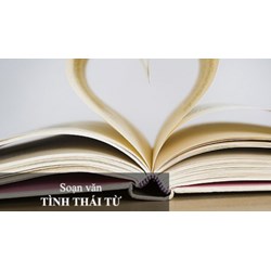 Soạn bài Tình thái từ (ngắn gọn) - Ngữ văn lớp 8