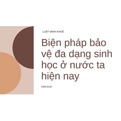 Biện pháp bảo vệ đa dạng sinh học ở nước ta hiện nay