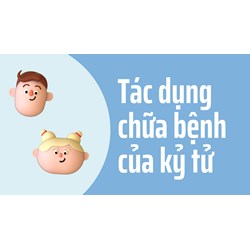 Tác dụng chữa bệnh của kỷ tử
