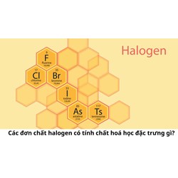 Các đơn chất halogen có tính chất hoá học đặc trưng gì?