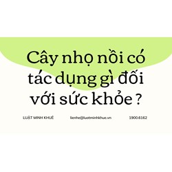 Cây nhọ nồi có tác dụng gì đối với sức khỏe ?