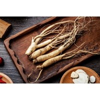 Công dụng của nhân sâm với sức khỏe