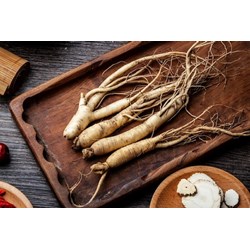 Công dụng của nhân sâm với sức khỏe