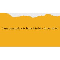 Công dụng của cây bình bát đối với sức khỏe
