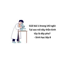 Tại sao nói dây thần kinh tủy là dây pha? Giải bài 1 (trang 143 sgk) - Sinh học lớp 8