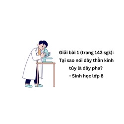 Tại sao nói dây thần kinh tủy là dây pha? Giải bài 1 (trang 143 sgk) - Sinh học lớp 8