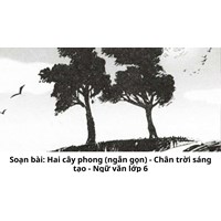 Soạn bài: Hai cây phong (ngắn gọn) - Chân trời sáng tạo - Ngữ văn lớp 6