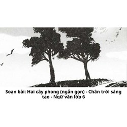 Soạn bài: Hai cây phong (ngắn gọn) - Chân trời sáng tạo - Ngữ văn lớp 6