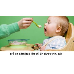 Trẻ ăn dặm bao lâu thì ăn được thịt, cá?