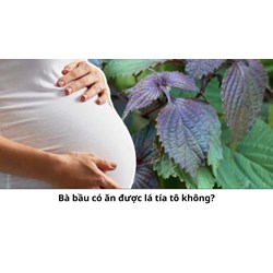 Bà bầu có ăn được lá tía tô không?