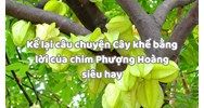 Kể lại câu chuyện Cây khế bằng lời của chim Phượng Hoàng siêu hay