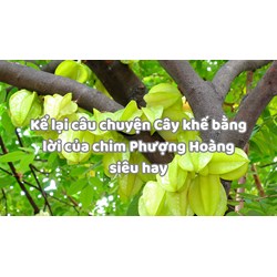 Kể lại câu chuyện Cây khế bằng lời của chim Phượng Hoàng siêu hay