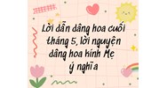 Lời dẫn dâng hoa cuối tháng 5, lời nguyện dâng hoa kính Mẹ ý nghĩa