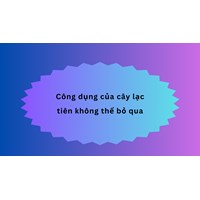 Công dụng của cây lạc tiên không thể bỏ qua