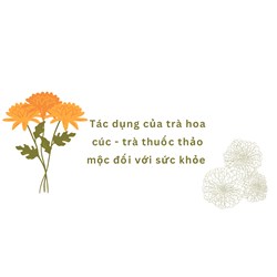 Tác dụng của trà hoa cúc - trà thuốc thảo mộc đối với sức khỏe