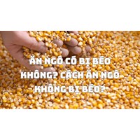 Ăn ngô có bị béo không? Cách ăn ngô không bị béo?