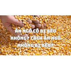 Ăn ngô có bị béo không? Cách ăn ngô không bị béo?
