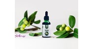 Dầu mù u là gì? Công dụng của dầu mù u