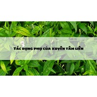 Tác dụng phụ của xuyên tâm liên