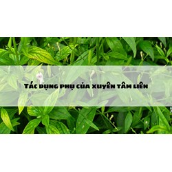 Tác dụng phụ của xuyên tâm liên