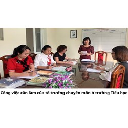 Công việc cần làm của tổ trưởng chuyên môn ở trường Tiểu học