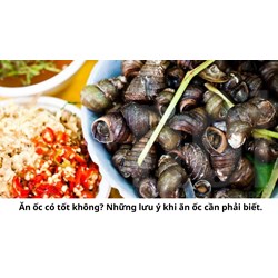 Ăn ốc có tốt không? Những lưu ý khi ăn ốc cần phải biết.