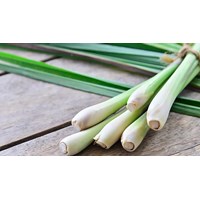 Củ sả có tác dụng gì đối với sức khỏe ?