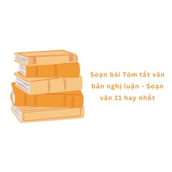 Soạn bài Tóm tắt văn bản nghị luận - Soạn văn 11 hay nhất
