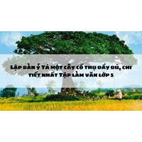 Lập dàn ý Tả một cây cổ thụ đầy đủ, chi tiết nhất Tập làm văn lớp 5