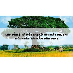Lập dàn ý Tả một cây cổ thụ đầy đủ, chi tiết nhất Tập làm văn lớp 5