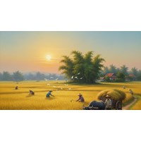 Dàn ý Tả cánh đồng lúa chín quê em lớp 5