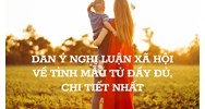 Dàn ý nghị luận xã hội về tình mẫu tử đầy đủ, chi tiết nhất