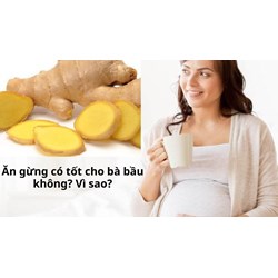 Ăn gừng có tốt cho bà bầu không? Vì sao?