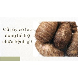 Củ ráy có tác dụng hỗ trợ chữa bệnh gì?