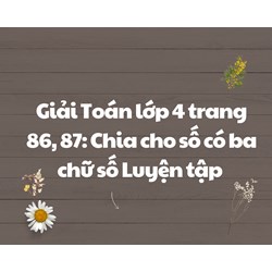 Giải Toán lớp 4 trang 86, 87: Chia cho số có ba chữ số Luyện tập