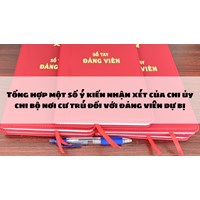 Tổng hợp một số ý kiến nhận xét của chi ủy chi bộ nơi cư trú đối với đảng viên dự bị