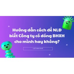 Hướng dẫn cách để NLĐ biết Công ty có đóng BHXH cho mình hay không?