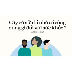 Cây cỏ sữa lá nhỏ có công dụng gì đối với sức khỏe ?