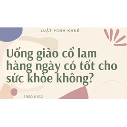 Uống giảo cổ lam hàng ngày có tốt cho sức khỏe không?