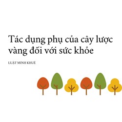 Tác dụng phụ của cây lược vàng đối với sức khỏe