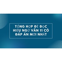 Tổng hợp đề đọc hiểu Ngữ văn 11 có đáp án mới nhất năm 2025
