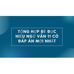 Tổng hợp đề đọc hiểu Ngữ văn 11 có đáp án mới nhất năm 2025