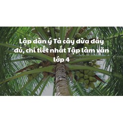 Lập dàn ý Tả cây dừa đầy đủ, chi tiết nhất Tập làm văn lớp 4