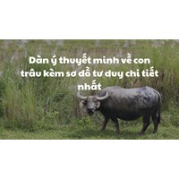 Dàn ý thuyết minh về con trâu kèm sơ đồ tư duy chi tiết nhất