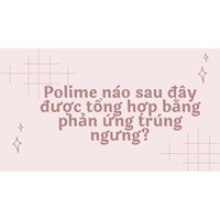 Polime nào sau đây được tổng hợp bằng phản ứng trùng ngưng?