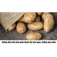 Hướng dẫn cách bảo quản khoai tây tươi ngon, không mọc mầm