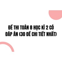 Đề thi Toán lớp 8 Học kì 2 có đáp án (30 đề chi tiết nhất)