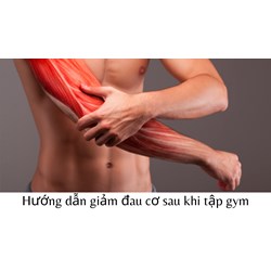 Hướng dẫn giảm đau cơ sau khi tập gym